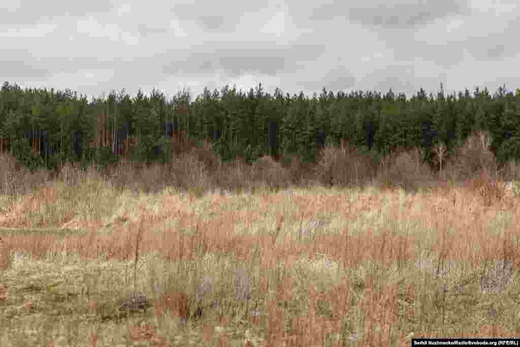 Уничтоженная российская техника на окраине села Тетеревского, Киевщина, март 2022 года / Фото, сделанное в марте2024 года: российскую технику вывезли, сожженная войной земля медленно зарастает