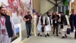 Готов ли Кремль исключить "Талибан" из списка террористов и принять трудовых мигрантов из Афганистана?