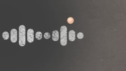 Реальный разговор: арест генералов
