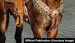 Деталь изображения