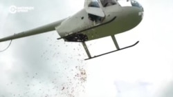 В развлекательном шоу на российском телевидении снялись "военкор" и снайперша из "ДНР"