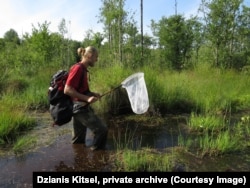 Во время охоты на стрекоз в Беларуси, фото из частного архива