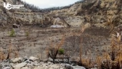 Почему Украина вслед за другими странами выходит из Оттавской конвенции о запрете противопехотных мин