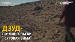 Дзуд бессмысленный и беспощадный