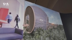 A South Forty: выставка, которая разрушает мифы об архитектуре юга США 