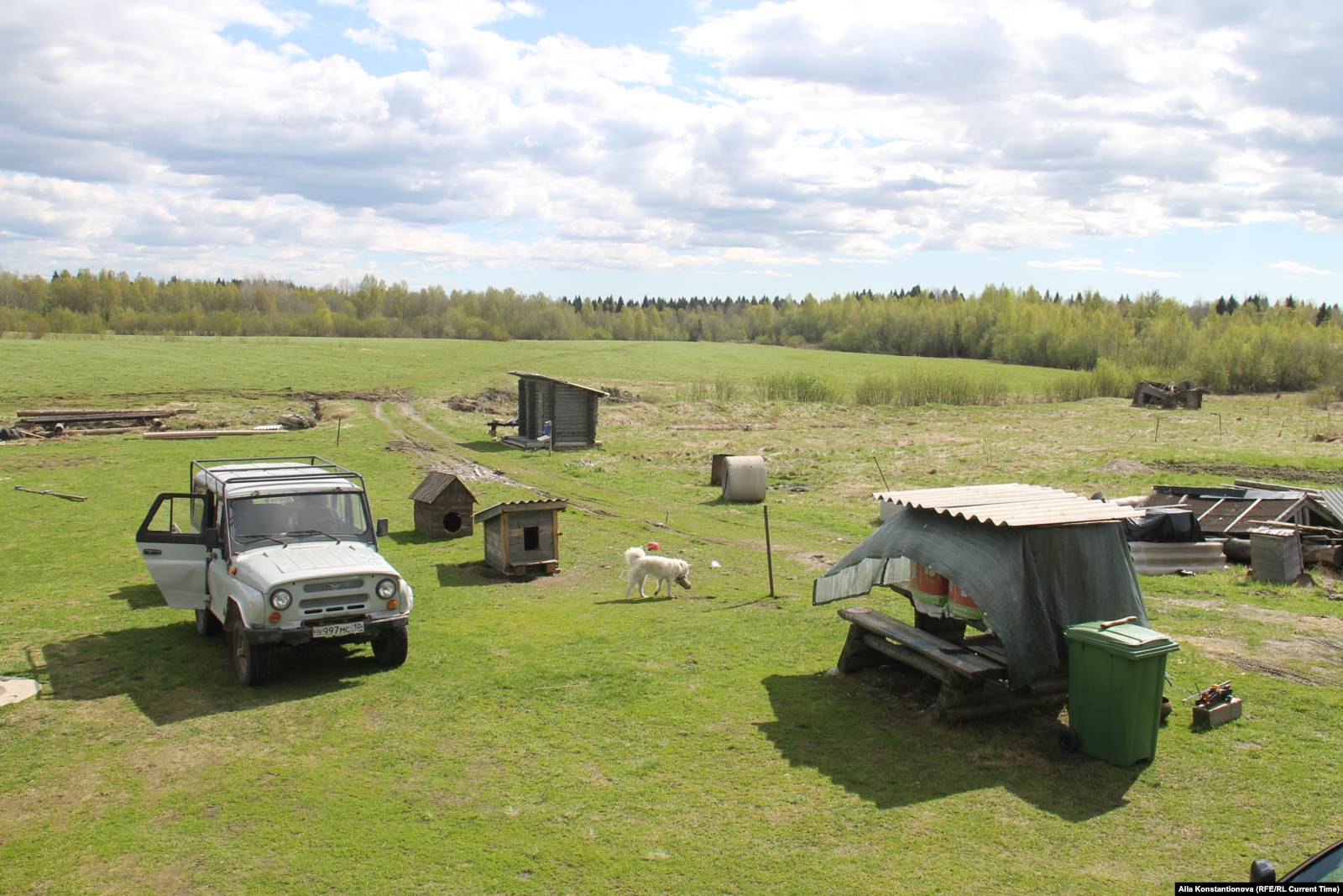 Кинерма. Фото: Алла Константинова