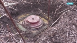 Страны Балтии выходят из договора, запрещающего противопехотные мины. Объясняем, почему они это делают