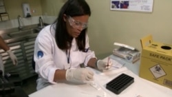 Что такое вирус зика и как с ним пытаются бороться