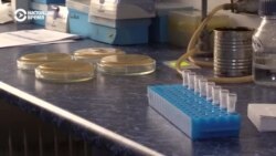 Ученые Львовского Института клетки разработали экспериментальную вакцину от COVID-19