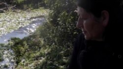 Когда созревает хурма: короткие встречи и долгие проводы матери и сына в азербайджанском селе